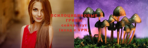 дурь Богданович