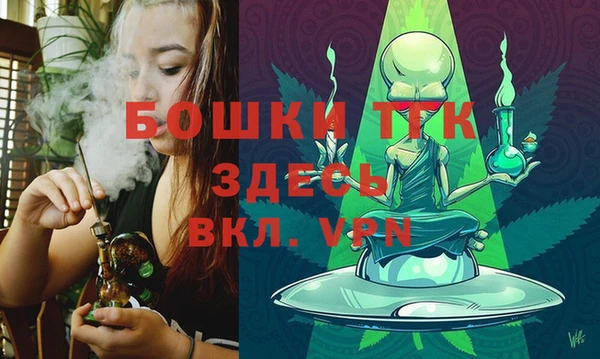 mix Богородицк