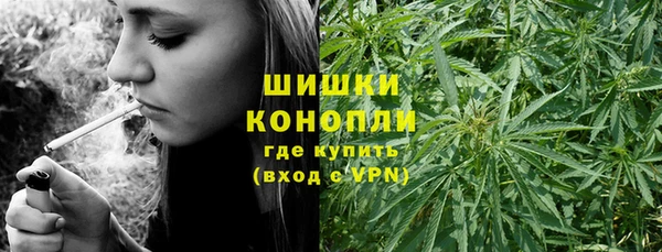 дурь Богданович