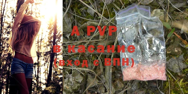 дурь Богданович
